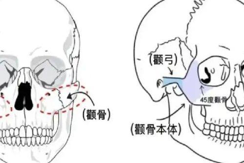 青岛滨海学院附属医院（医疗美容科）收费价格表：
