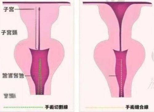 沈阳北部战区总医院（医疗美容科）