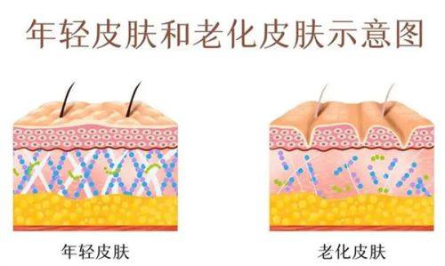 北京四季青橙门诊部预约挂号方式：