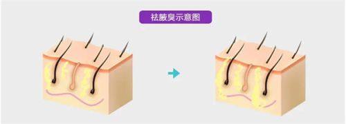 北京好年华医疗美容诊所医生介绍：