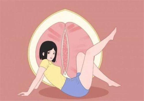 二、赣州植发医院技术特色深度对比