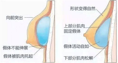 二、成都疤研疤痕是正规医院吗？核心技术对比分析