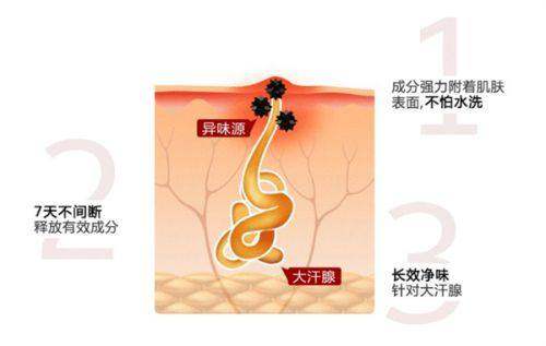 五、沈阳百嘉丽整形医生团队实力解析