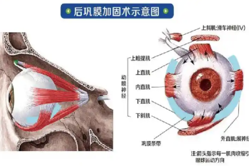 清远瑞丽整形外科门诊部