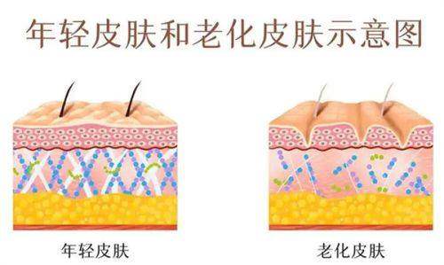 五、台州整形医院排名完整榜单与选择建议