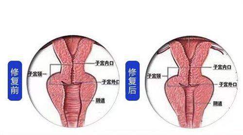 医院环境与布局