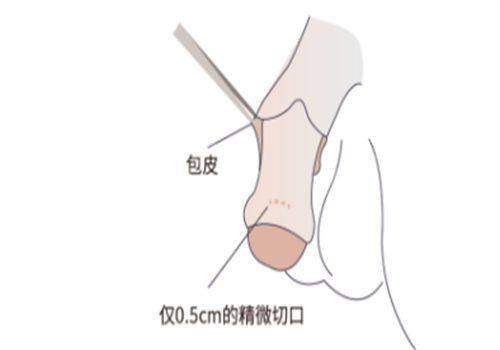 实际体验实例参考