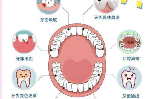 湛江珠江口腔医院收费价格表：