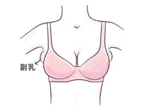 医生团队实力强