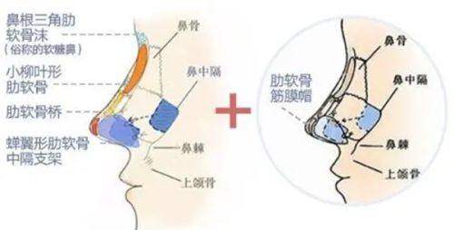 综合评价
