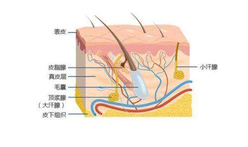 与其他医院对比优势