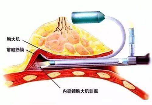 深圳康妍医疗美容门诊部医生介绍：