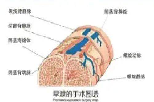 二、深圳整形医院特色项目及价格参考