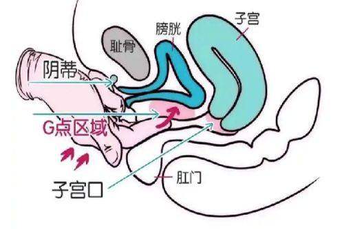 天津医 科 大学总医院（医疗美容科）特色项目：