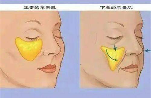 衡水莱茵医疗美容诊所地址电话及营业时间：