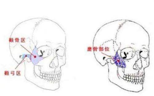 天津中 医 药大学第二附属医院（医疗美容科）特色项目：
