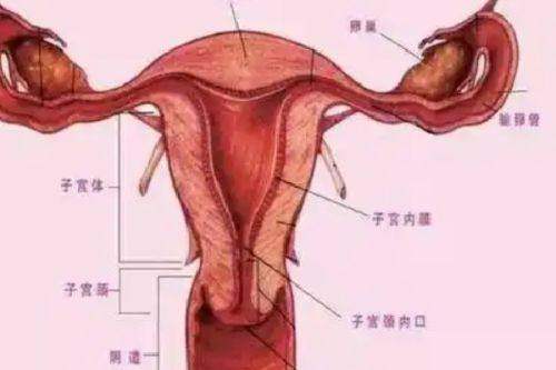 青岛妇女儿童医院（医疗美容科）特色项目：