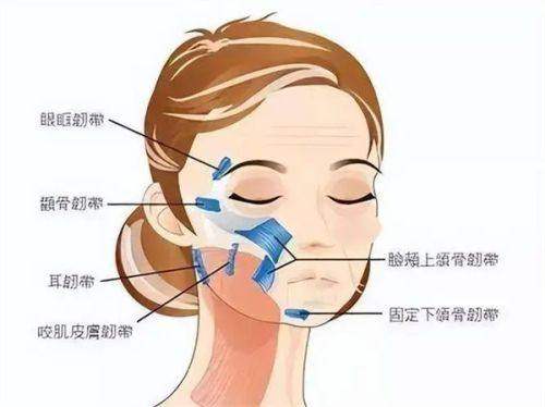广州宸山医疗美容门诊部特色项目：