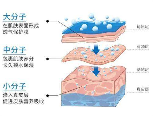 四、沈阳军区总医院整形美容外科的科研成果