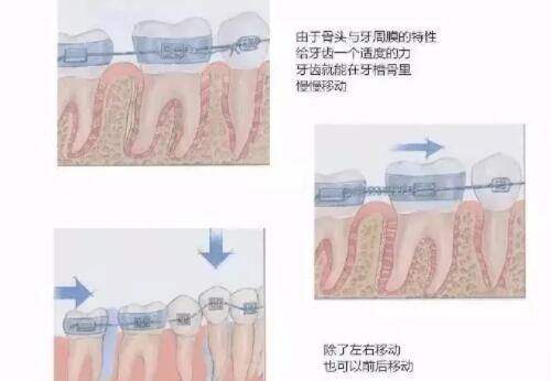 四、东莞壹加壹整形医院收费标准之合理性分析