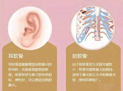 三、东莞壹加壹杨伟杰医生