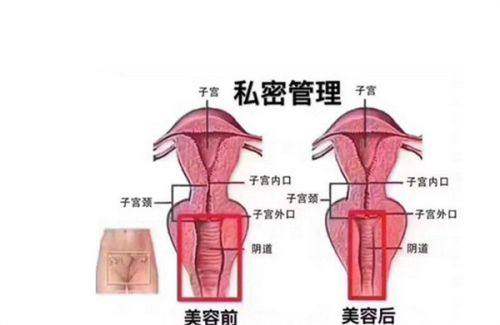 韩国TS整形外科医院预约挂号方式：