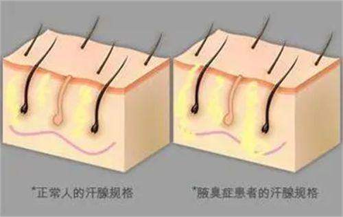 深圳黛颜医疗美容门诊部地址电话及营业时间：