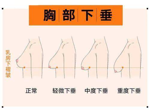 三、山西白求恩医院-医疗美容/烧伤整形外科