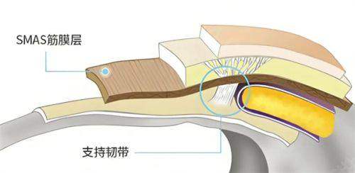 二、成都军大整形医院是正规医院吗——专精的医生团队