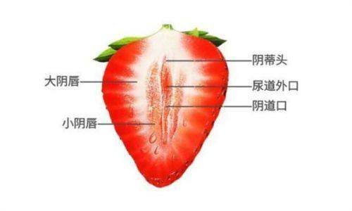 三、贵阳华医医院疤痕专科怎么样——医疗团队