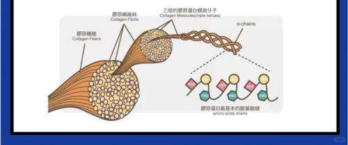 四、杭州格莱美隆胸的术后成效如何保护