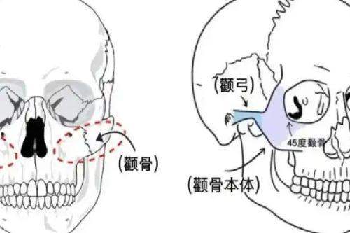 五、北京嘉禾医疗美容——享受园林美景中的7d聚拉提体验