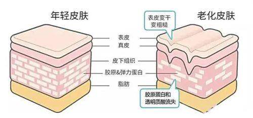 五、骨水泥颅顶填充术价格参考（2025年）