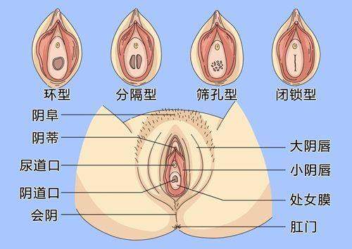 中 国医 科 大学第一附属医院（医疗美容科）口碑如何？