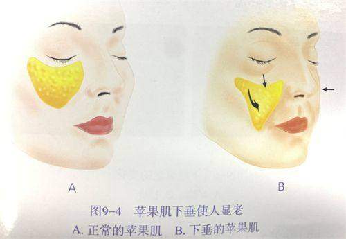 沈阳医学校第二附属医院（医疗美容科）地址电话及营业时间：