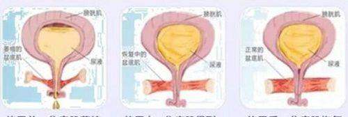 一、深圳同步齿科价格表