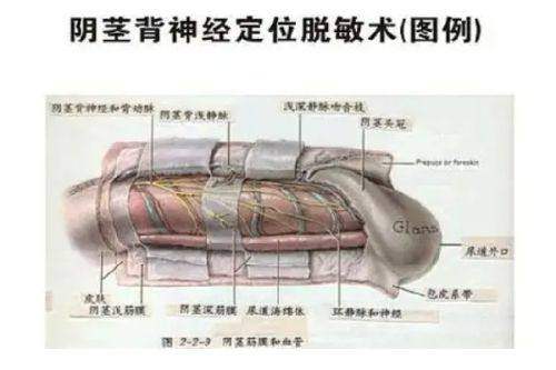 四、合肥艾雅医疗美容医院2025年口碑测评情况