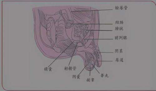 四、上海时光整形医院在排名中的亮点