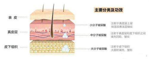二、2025年米兰柏羽医学美容医院于晓春医生眼部整形口碑测评