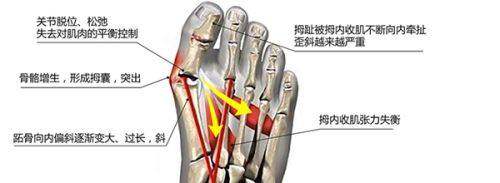 八、西安圣贝口腔