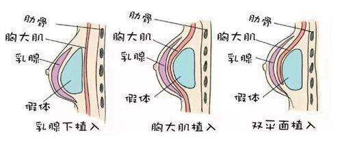 五、北京奥尔贝德赵军舰医生的预约方式与注意事项