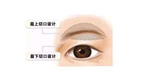 七、西安瑞泰口腔
