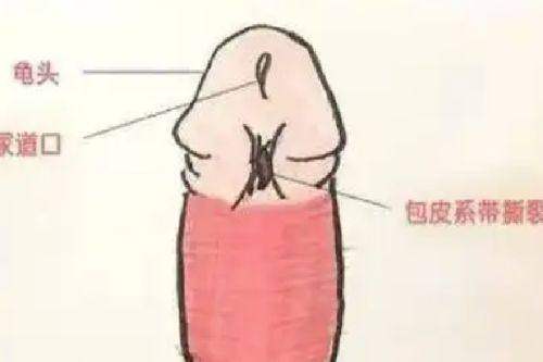 哈尔滨市第三医院（医疗美容科）