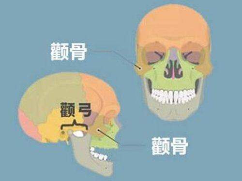 三、上海九院整复外科骨干医生的学术贡献