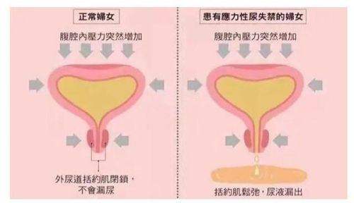 绥化市第一医院（医疗美容科）