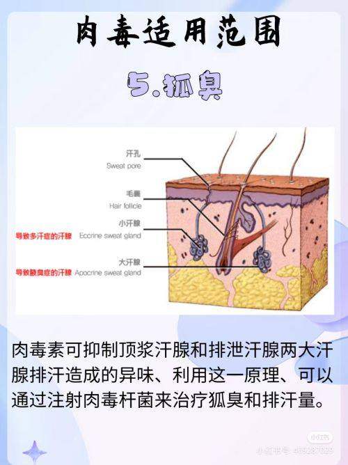 长春市中 心医院（医疗美容科）收费价格表：