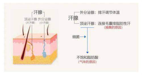 深圳婳美医疗美容医院万君怡医生做光子嫩肤399元起，效果惊艳改善多种肌肤问题！ 