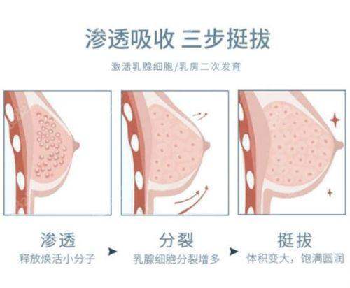 价格公布与优惠活动