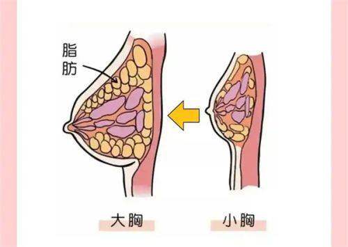 四、香港YATAI雅太医疗美容医院复杂整形优势