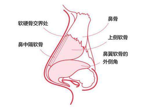 二、上海联合丽格医疗美容门诊部范荣杰手术成效